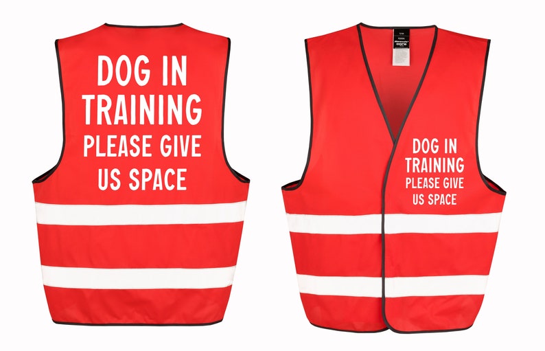 Dog in Training Walking Hivis Waistcoat Reflective Safety Etsy