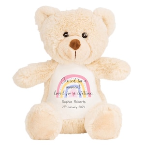 Personalised Baby Loss Memory Keepsake Name Date of Birth Pink Rainbow Brown Teddy Bear Plush Cuddly Toy