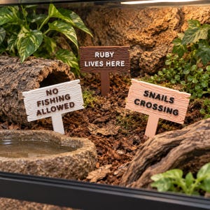 May include: Three rectangular garden signs with wood grain texture and stakes. One dark brown sign reads RUBY LIVES HERE in white. One white sign reads NO FISHING ALLOWED in brown. One light peach sign reads SNAILS CROSSING in black lettering.