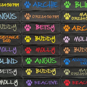 May include: Black embroidered patches with names and paw prints in various colours. Names such as "Archie", "Buddy", and "Molly" are featured. Some patches also include phone numbers and phrases.