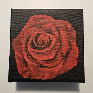 Red Rose