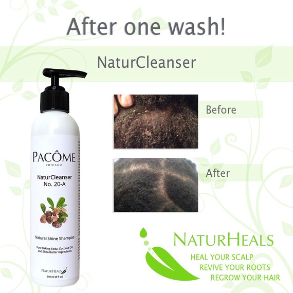 Natural Cleansing Shampoo With Shea Butter Coconut Oil And Etsy