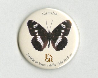 Magnete Camilla (Limenitis camilla) Farfalle di Varzi e della valle Staffora, con scatolino