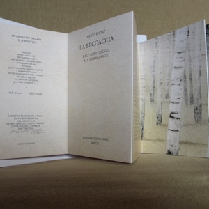 THE WOODCOCK From ornithology to the imagination / S. Spanò / F. Magni / C. Zerbone - LEPORELLO book 15 x 240 cm Open - Fiorina Edizioni
