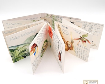 Viajes con Wallace. Diario de viaje de Leporello