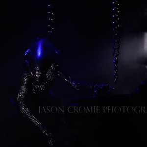 Xenomorph (Alien)