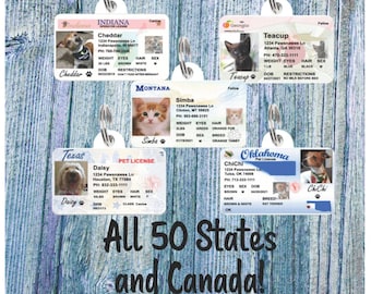 Ontario Canada Driver License Canadian dog cat tag custom by ID4PET Ontario Canada Driver License Canadian dog cat tag custom by ID4PET