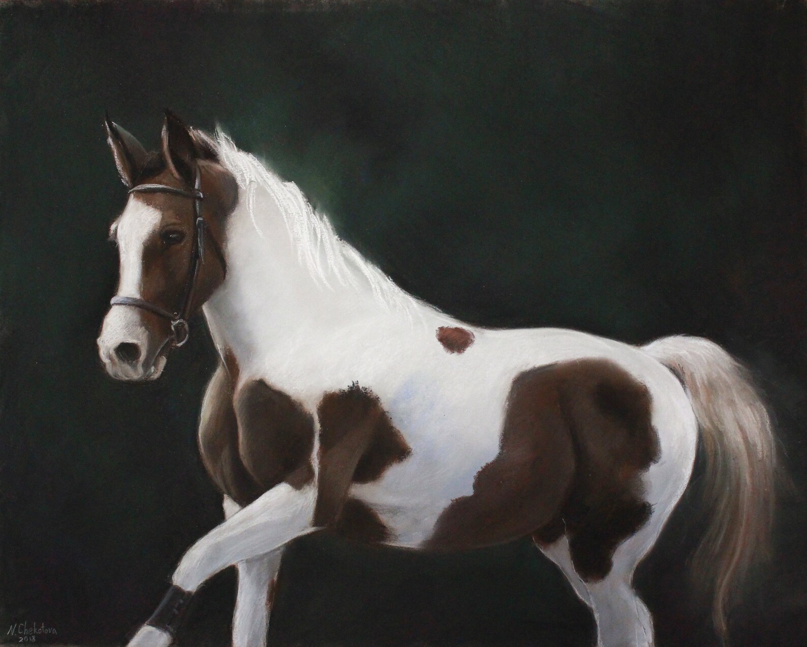 Custom horse portrait Pastel horse portrait Pastel pet Etsy