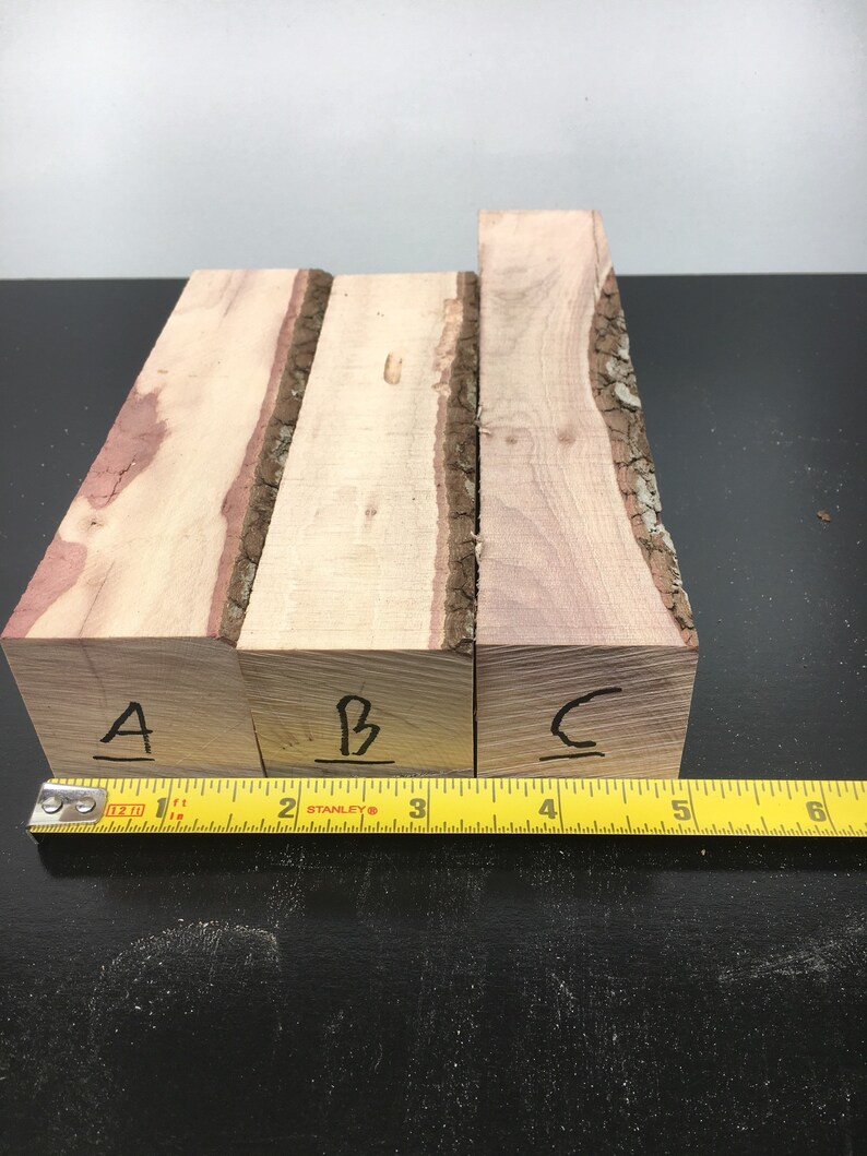 Large Dogwood Turning Blanks 1 5/8 by up to 8 Long. Etsy