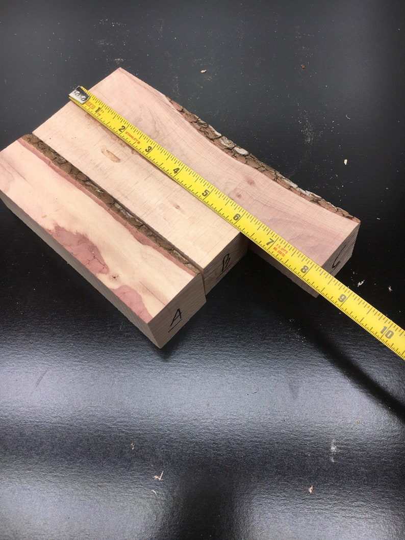 Large Dogwood Turning Blanks 1 5/8 by up to 8 Long. Etsy