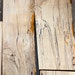 Sale! Spalted Wood Scraps. Mix of Live Edge, Spalted, Wormy. Most Are More Than 1/4' Thick Assorted Shapes & Sizes. Hardwoods etc. Off Cuts 