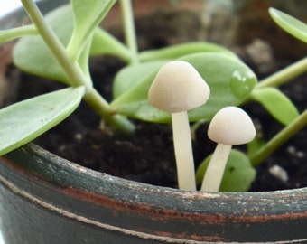 Handmade Mini Clay Mushroom Grouping: Fairy Garden Terrarium Decor