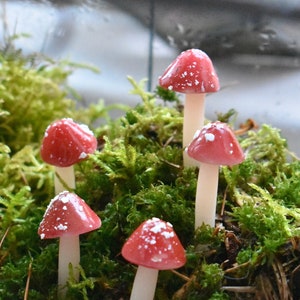 Mini Handmade Red Terrarium Mushrooms