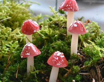 Mini Red Terrarium Mushrooms for Fairy Garden, Crafts, Gifts