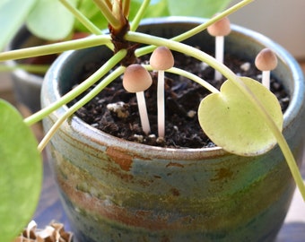 Handmade Polymer Clay Mushroom: Miniature Terrarium Decor