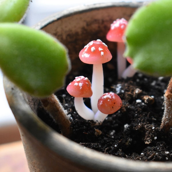 Mini Red Mushroom Grouping