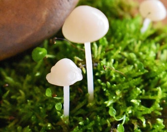 Handmade Translucent Mini Terrarium Mushrooms