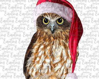 Christmas Owl 2 clipart, instant download, Sublimation graphics, PNG