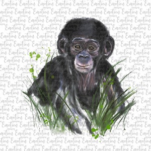 Watercolor Gorilla Original Art PNG, instant download, Sublimation Graphics, DTF printing
