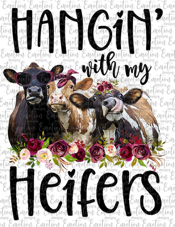 hanging with my heifers