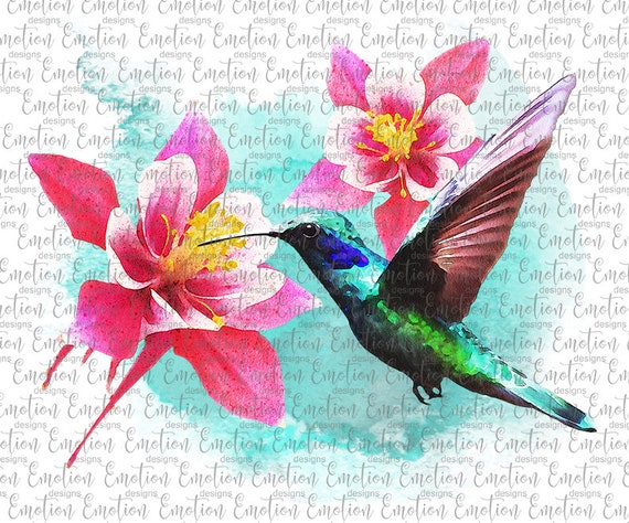 Download Hummingbird Watercolor And Flowers Instant Download Etsy