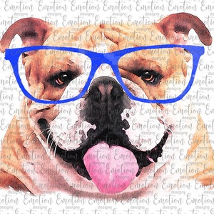 Bulldog Closeup with Royal Blue Glasses PNG, instant download, Sublimation Graphics, Clipart
