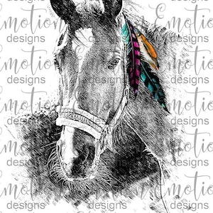 May include: A black and white sketch of a horse's head with a colorful feather headband. The horse is looking directly at the viewer.
