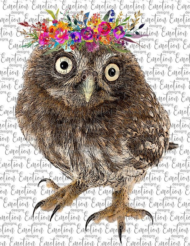 Owl with Flowers clipart, instant download, Sublimation graphics, PNG, DTF printing
