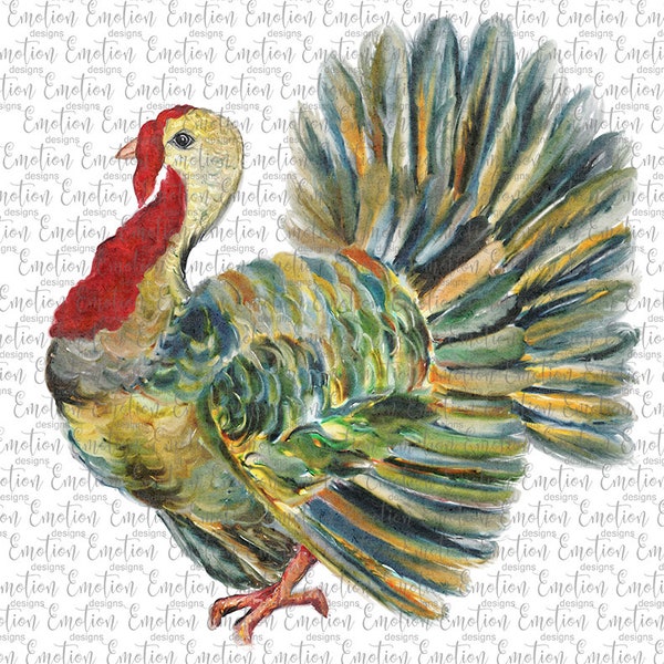 Original watercolor turkey thanksgiving  PNG, instant download, Sublimation Graphics, Clipart