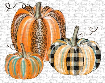 May include: Three decorative pumpkins in shades of orange, with unique patterns. One pumpkin has a leopard print, another features a black and white plaid design, and the third has teal and orange stripes. The pumpkins have green stems and curly vines.