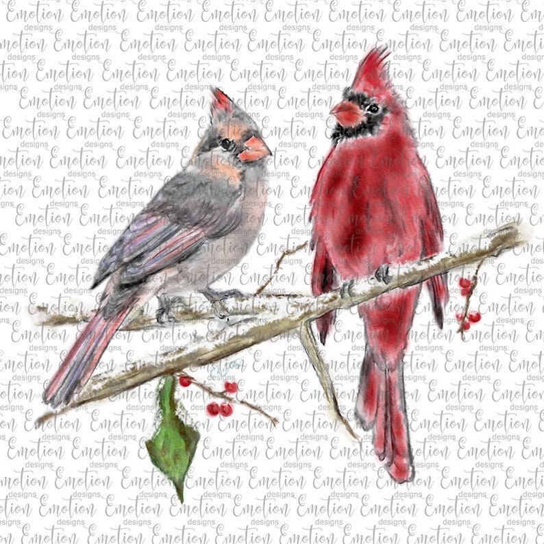 Watercolor Cardinal 3 Original Printable Art Instant - Etsy