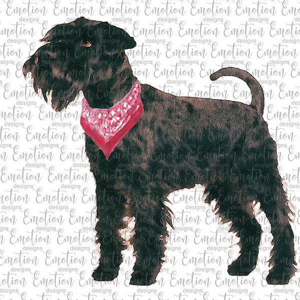 Black Schnauzer PNG, instant download, Sublimation Graphics, Clipart