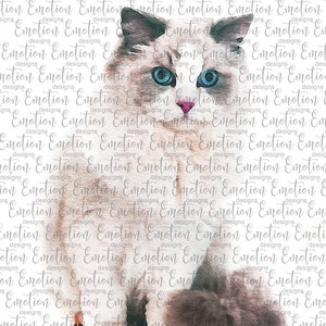 Ragdoll Cat Watercolor PNG, instant download, Sublimation Graphics, Clipart, DTF printing