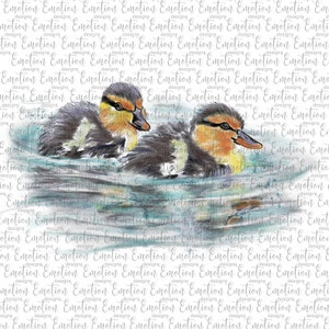 Watercolor Ducks Original Art PNG, instant download, Sublimation Graphics, DTF printing