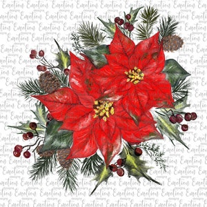 Watercolor Poinsettia PNG, instant download, Sublimation graphics, original artwork, DTF printing