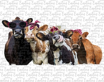 Group of 4 Cows clipart, instant download, Sublimation graphics, PNG, DTF printing
