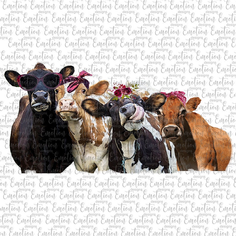 Group of 4 Cows Clipart Instant Download Sublimation Etsy