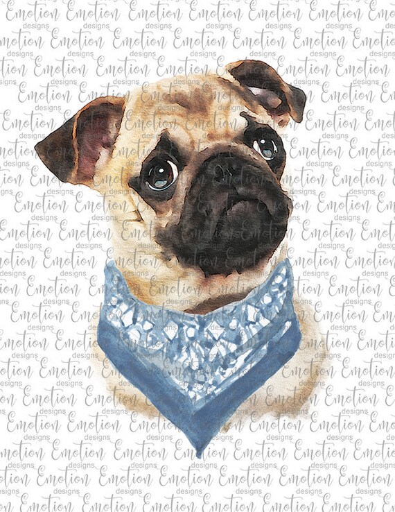 Watercolor Pug Blue Bandana PNG Instant Download Sublimation