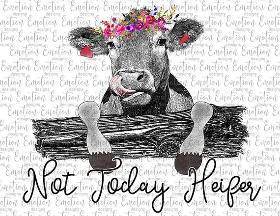 Not Today Heifer 3 PNG instant download Sublimation | Etsy