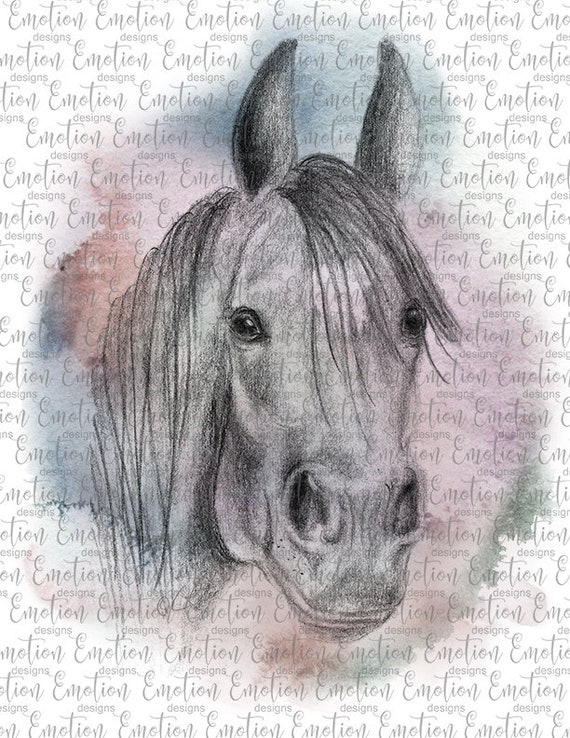 Arabian Horse Sketch Png Instant Download Sublimation Graphics Clipart