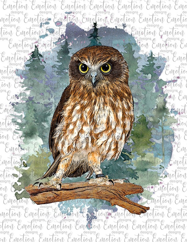 Owl in Forest clipart, instant download, Sublimation graphics, PNG, DTF printing