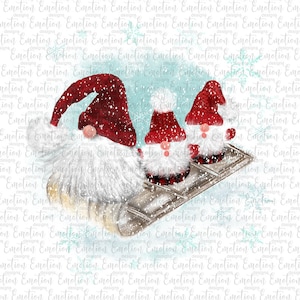 Sleigh ride gnomes, instant download, Sublimation graphics, PNG, DTF printing