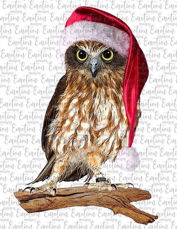 Christmas Owl 2 clipart, instant download, Sublimation graphics, PNG