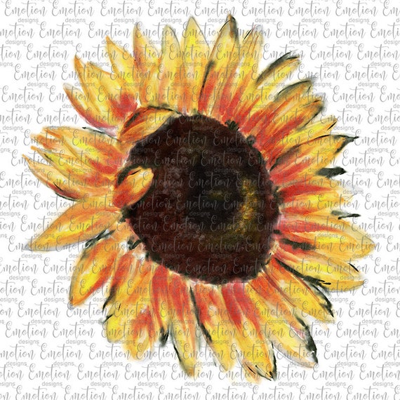 Download Sunflower Sublimation Design Digital Download Sublimation Graphics Png Instant Download Clipart Hand Draw Watercolor Sublimation Files Prints Art Collectibles Sultraline Id