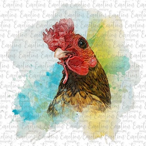 Watercolor Rooster Closeup  PNG, instant download, Sublimation Graphics, Clipart, DTF printing