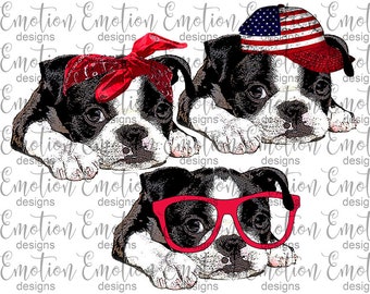 Boston Terrier Bundle PNG, instant download, Sublimation Graphics, Clipart
