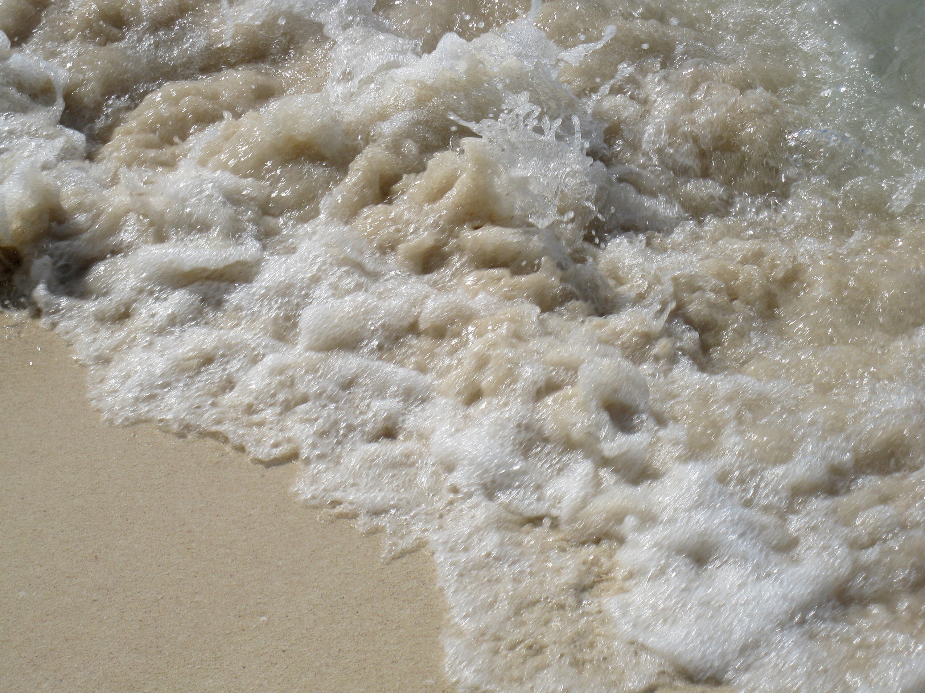 Photo Print of Sea Foam Rushing on the Beach. Foamy Bubbles on Etsy