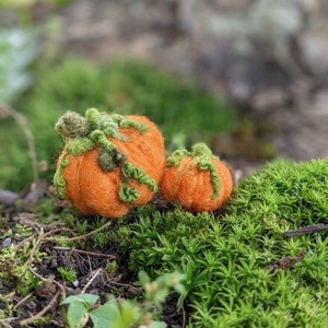 Needle Felted miniature pumpkins | 3, 4, 6 or 10 Pumpkin,Waldorf inspired autumn seasonal table decoration| Felted orange pumpkin for  decor
