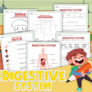 Afdrukbare spijsverteringsactiviteiten voor kinderen | Diagrammen leren, woordenschat matchen, kruiswoordraadsel, tekenen | Digitaal downloaden