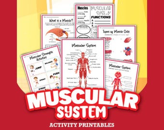 Muscular System Activity Set | Printable Anatomy Learning Activity with Muscle Chart, Matching Game & Worksheets for Kids